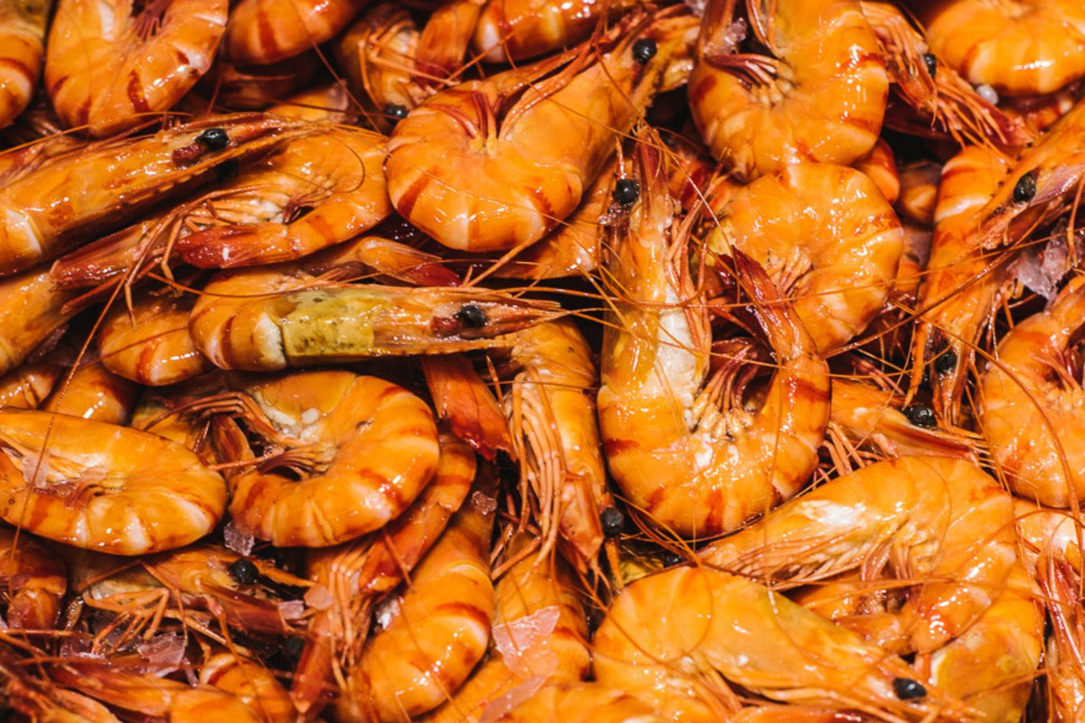 3kg Box Cooked Frozen Tiger Prawns XLarge