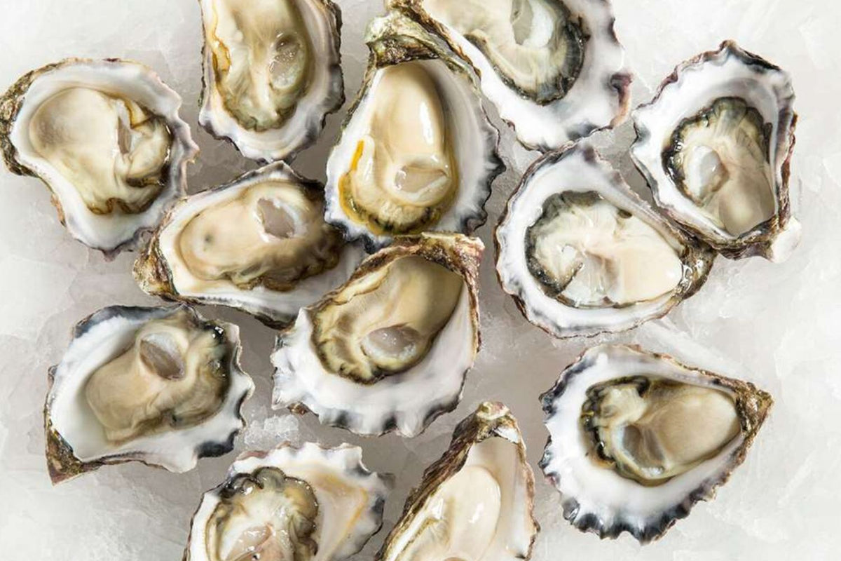 5 Dozen Sydney Rock Oysters Large