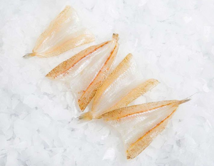 Eastern School Whiting Fillets