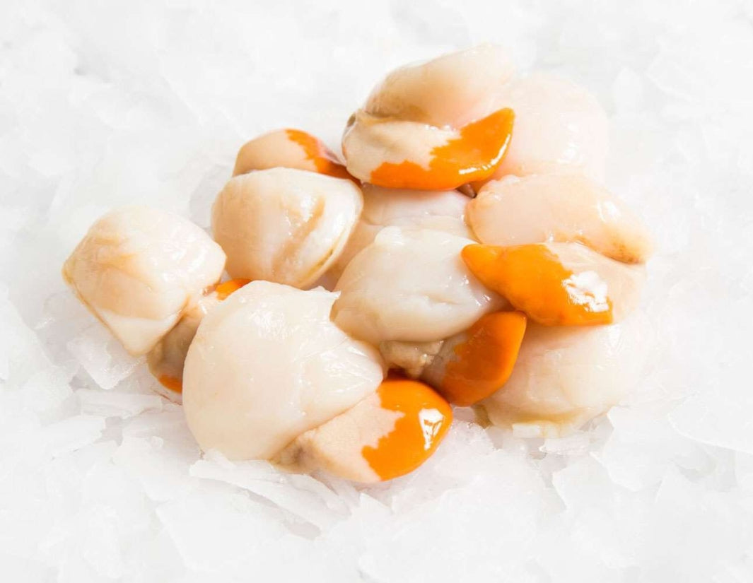 Flinders-Island-Scallop-Meat-Roe-On-Manettas-Seafood