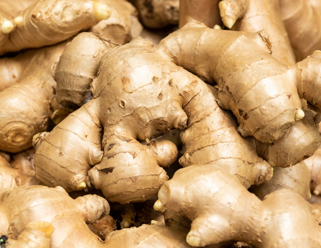Ginger