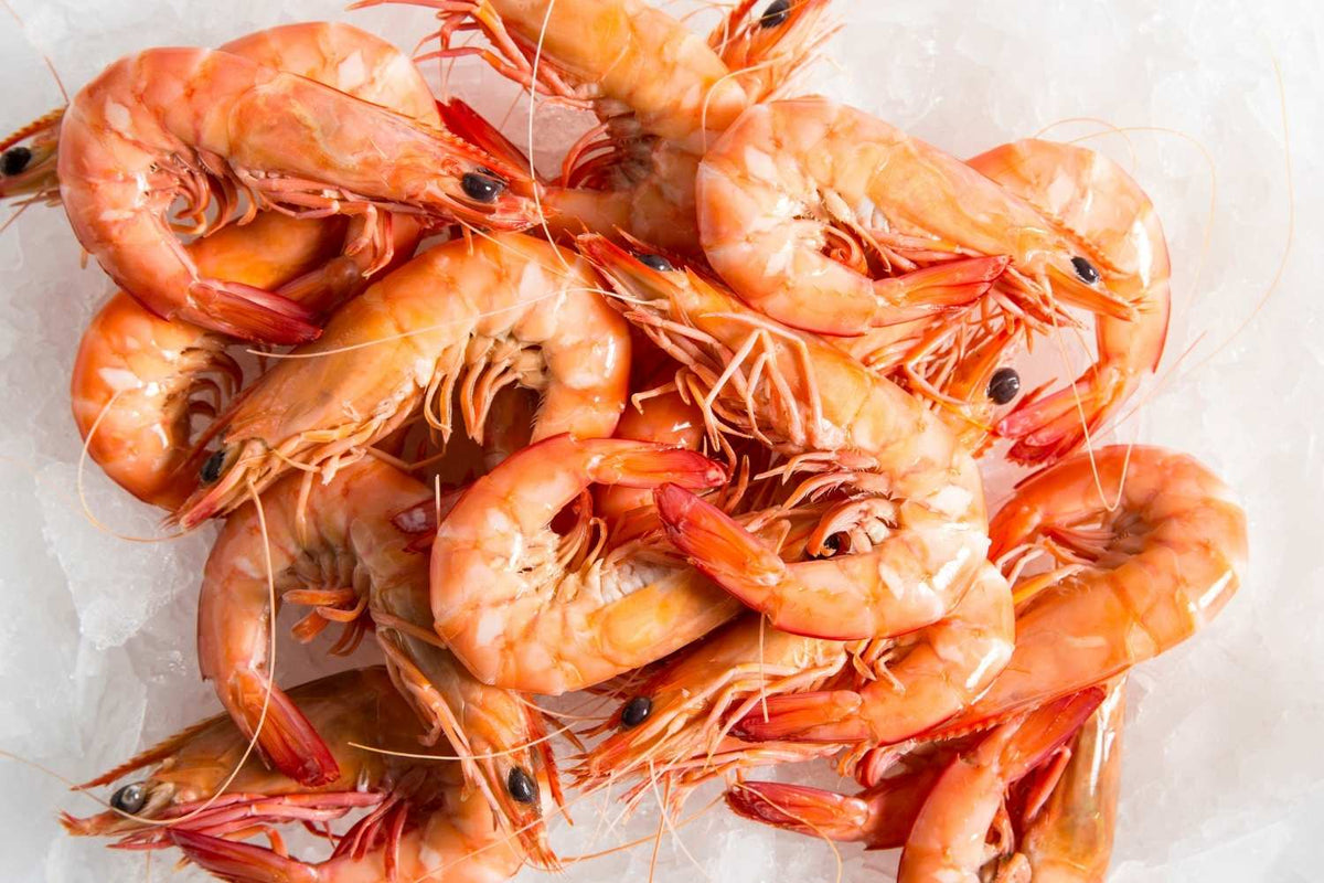 Cooked Wild QLD King Prawns XLarge
