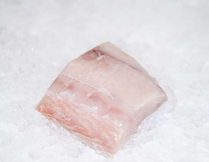 Mahi-Mahi-Fillet-Manettas-Seafood-Market