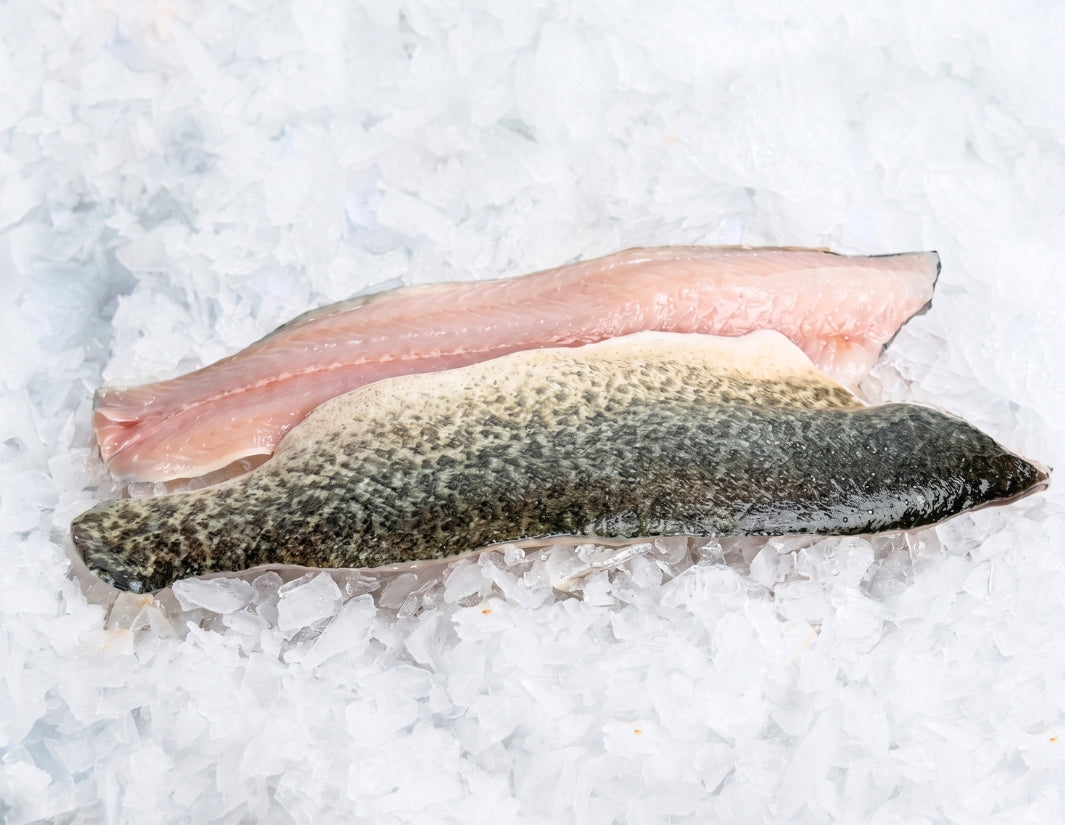 Murray Cod Fillet