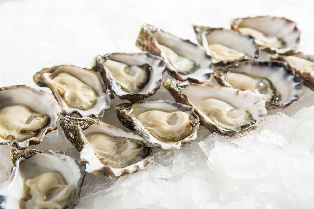 Premium Sydney Rock Oysters Large