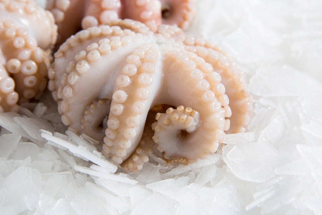 Australian Octopus: Where It’s Caught, When It’s in Season & How to Cook It
