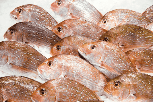 Best White Fish To Eat In Australia