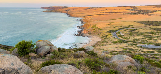 Why Australians Are Demanding Wild-Caught Seafood: Flavour, Health, and Local Harvests