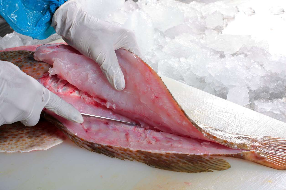 How to Fillet a Whole Fish