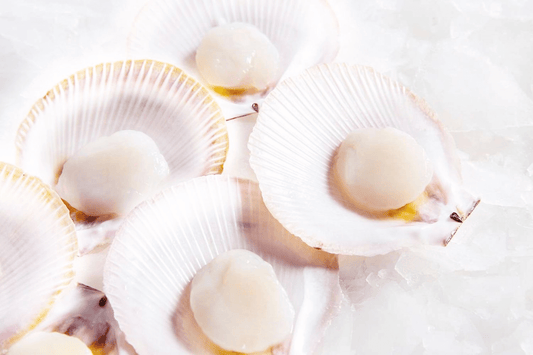 How to Cook Scallops