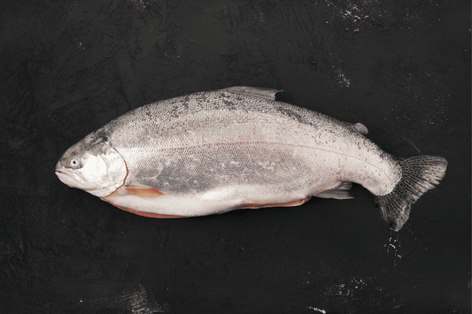 Trout vs. Salmon: What’s the Difference?