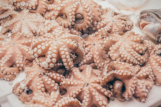 Is Octopus Good for You?
