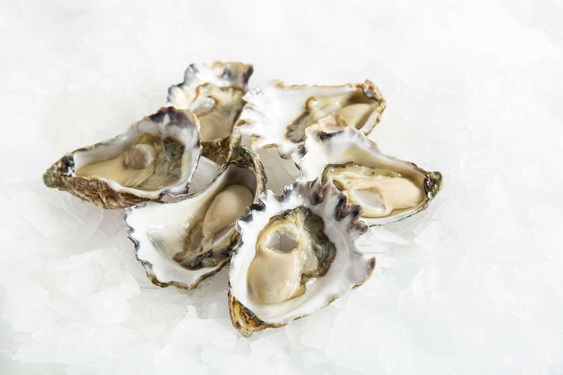 Health Benefits of Oysters: From Heart Health to Immunity