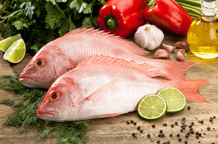 How to Cook a Snapper- Simple Recipes