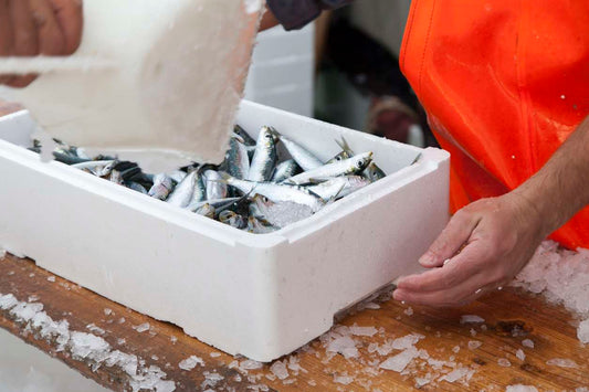 Manettas Seafood Storing Fish