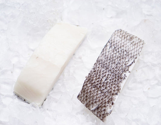 What Is Patagonian Toothfish?