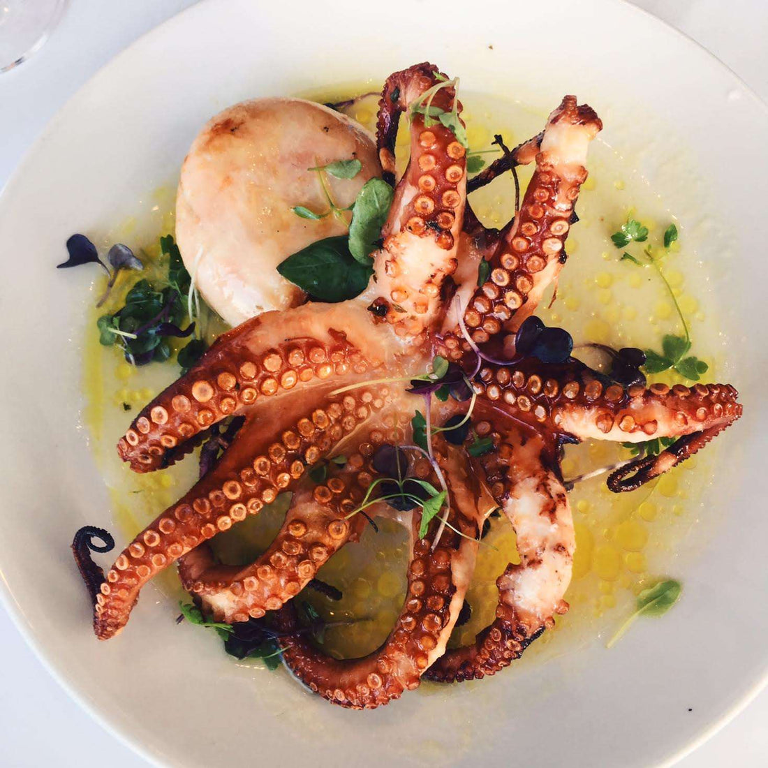 Mediterranean Style Whole Octopus
