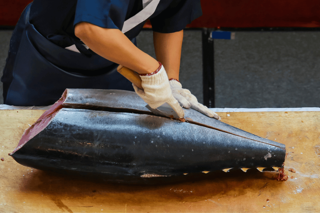 Cutting Tuna