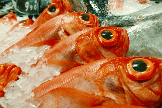 Redfish