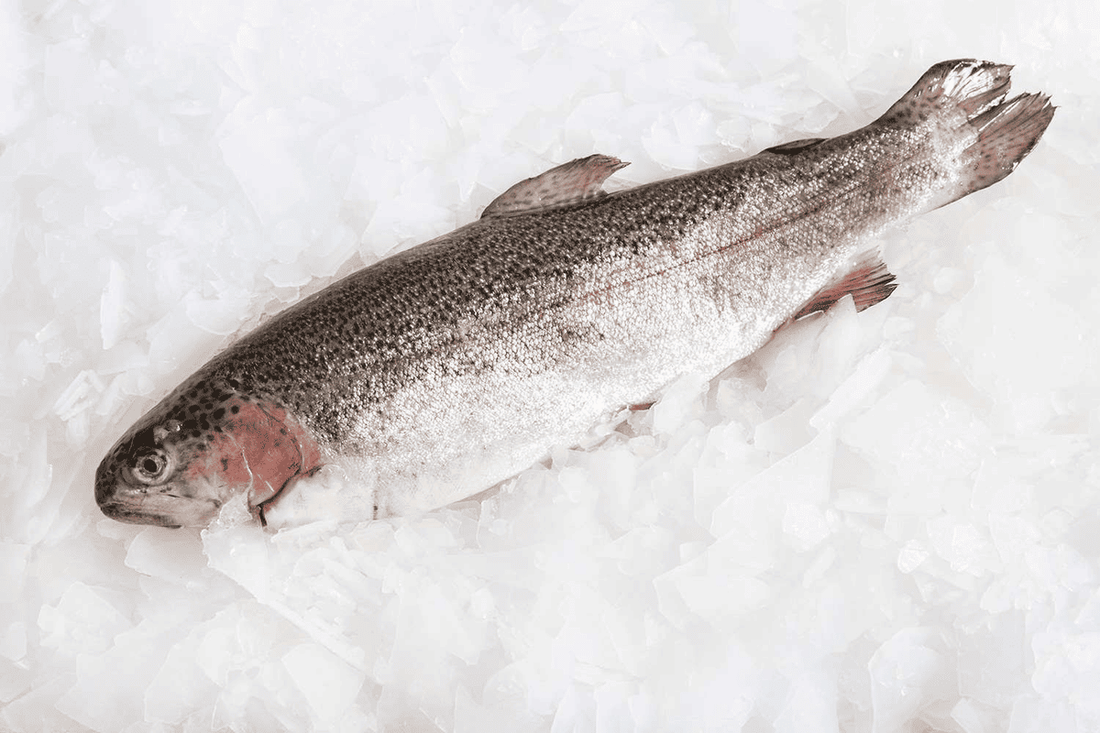 Seafood on a Budget for the Silly Season Get-Togethers