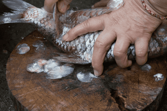 How to Gut and Scale a Fish: A Step-by-Step Guide