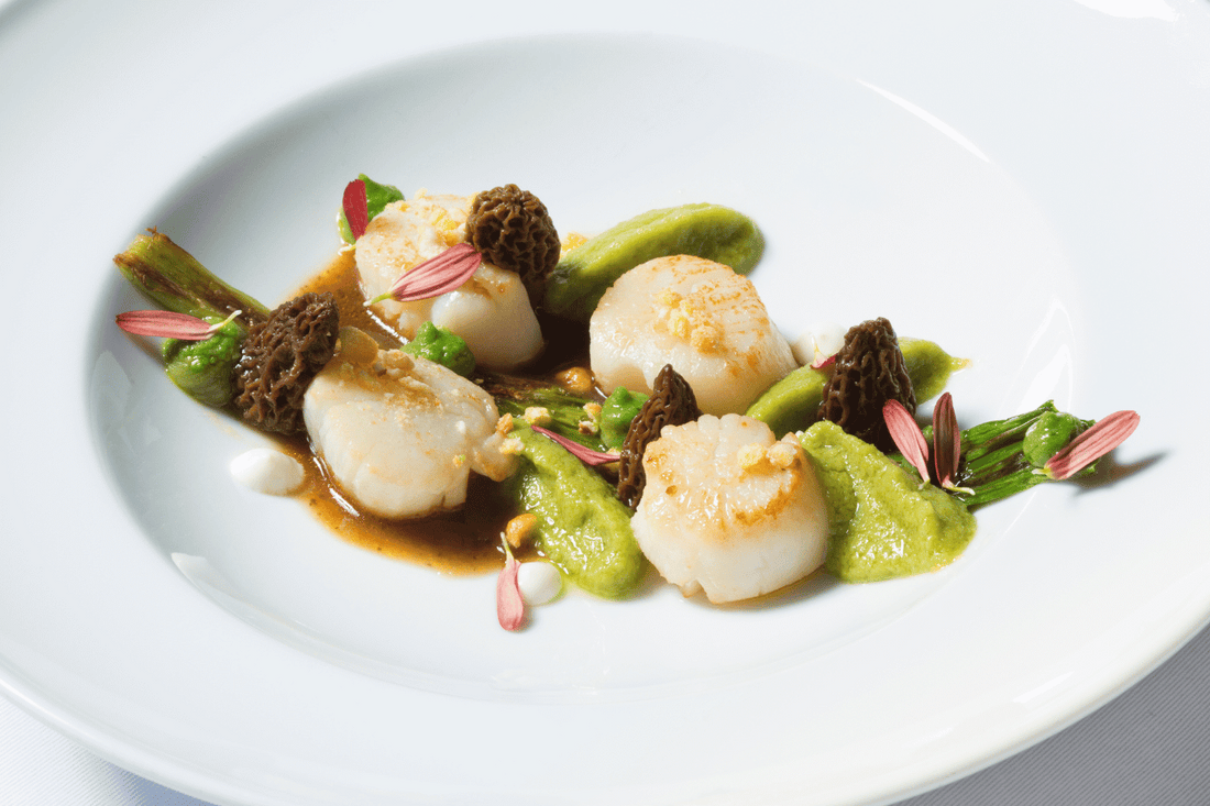 Scallops