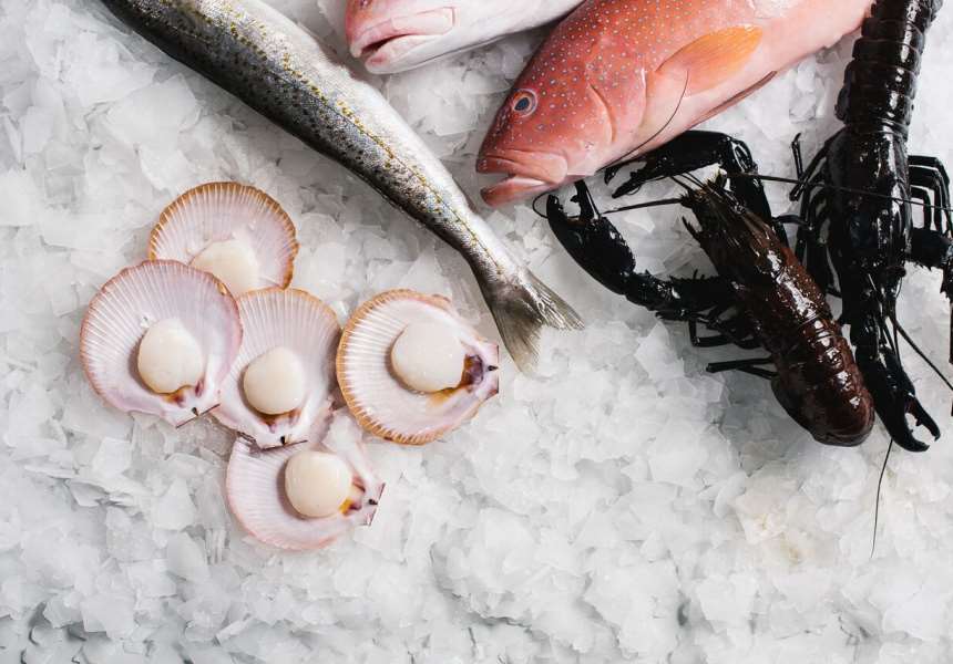 Manettas Seafood Online Market