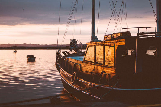 New digital auction platform ShoreTrade raises $2m