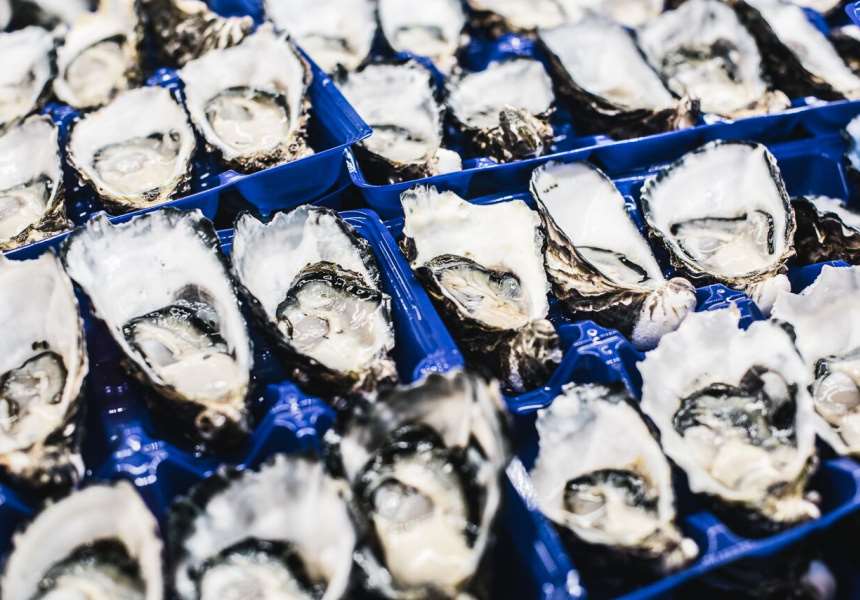 Peter Manettas Seafood is Sydney’s first fully interactive online fish market