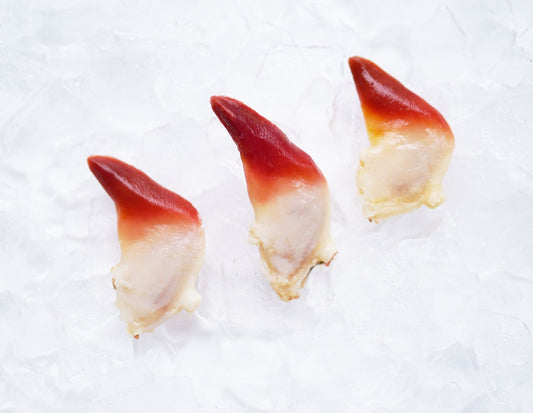 Arctic Surf Clam Sashimi