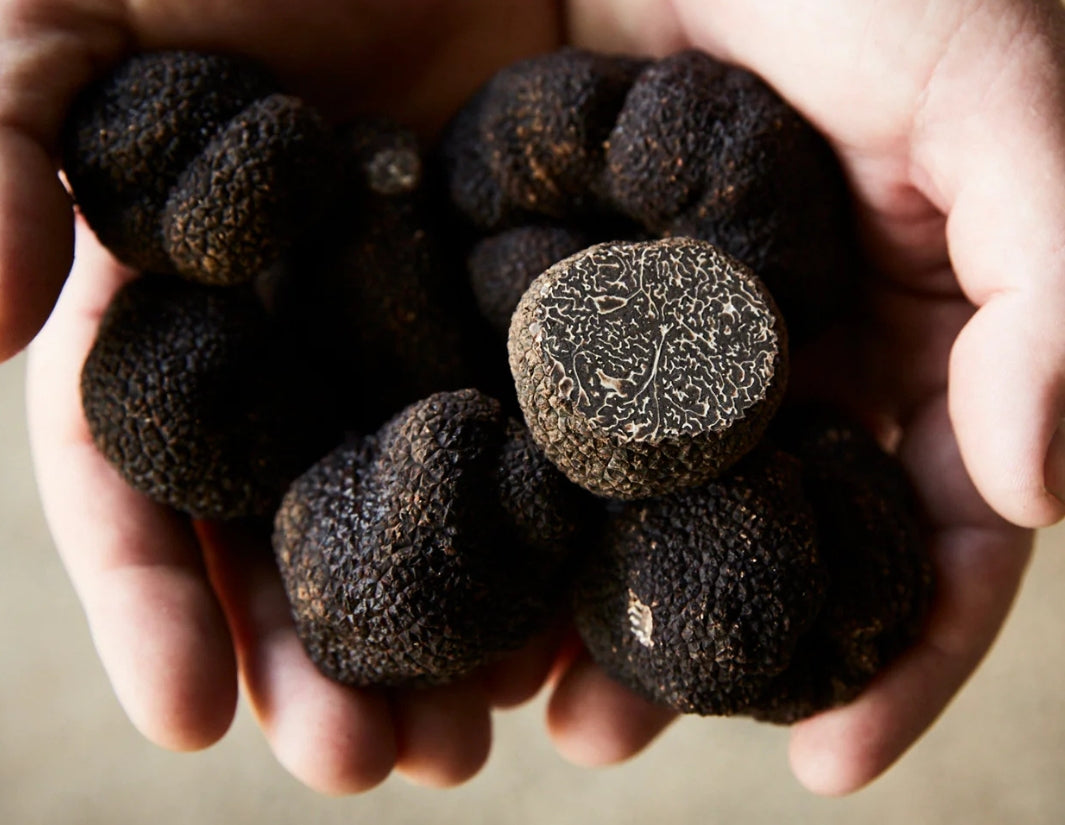 Australian-Black-Truffles-Manettas-Seafood