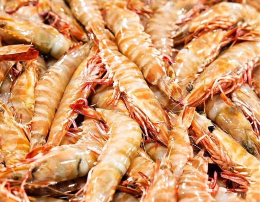 Bulk Buy JUMBO Skull Island Tiger Prawns Green