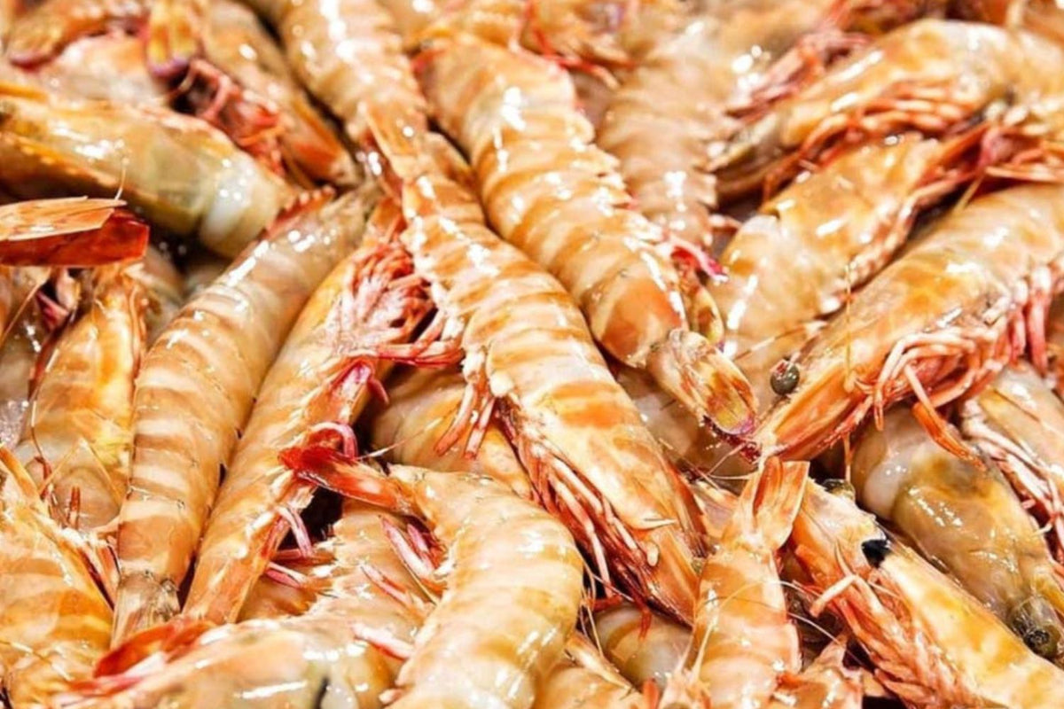 3kg Box Raw Skull Island Tiger Prawns JUMBO