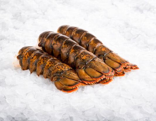 Canadian-Lobster-Tail-Manettas-Seafood-Market