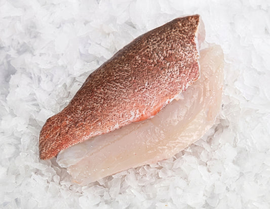 Coral Trout Fillet Extra Large