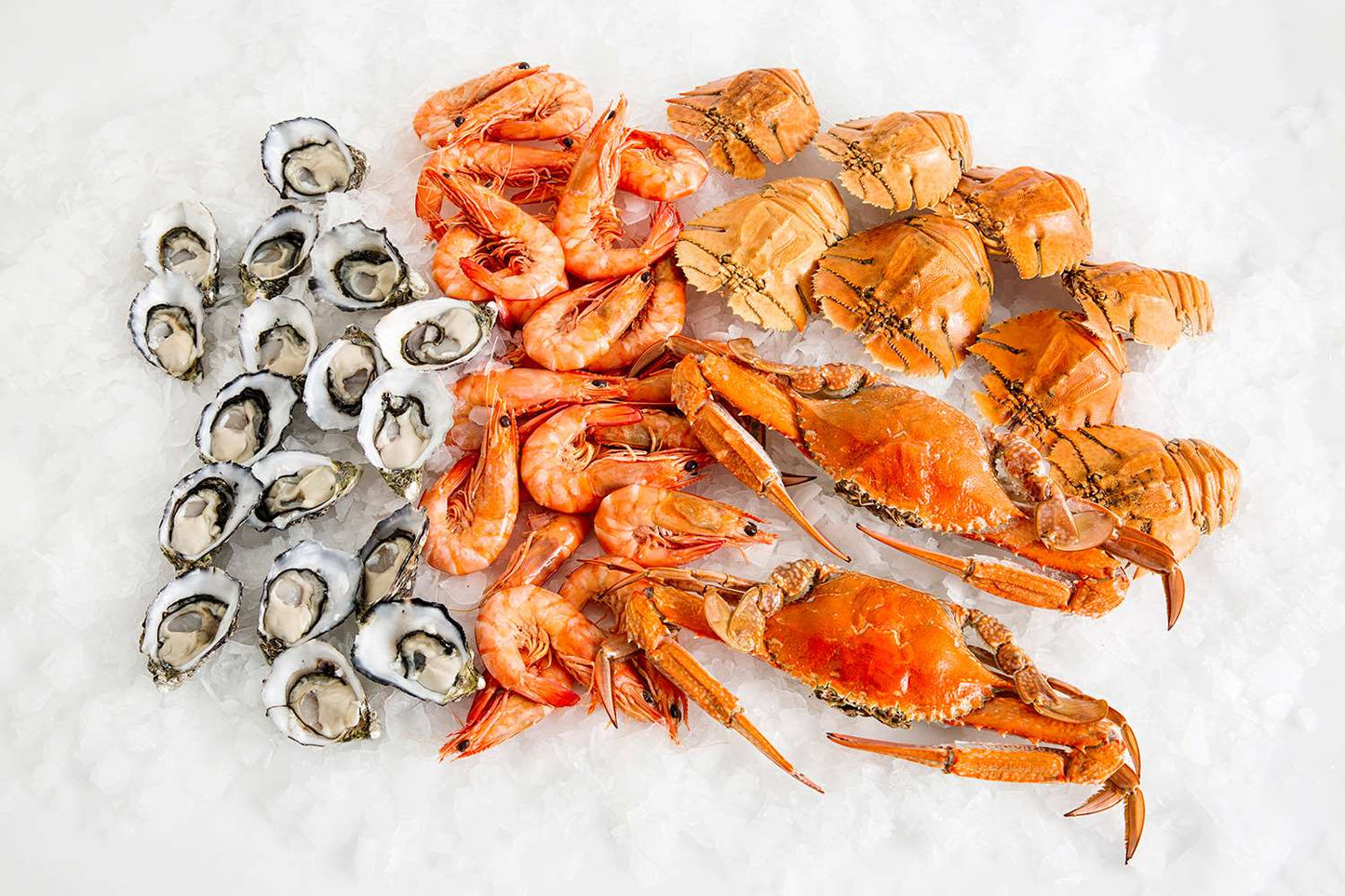 Fresh-Chilled-Seafood-Box-Manettas-Seafood-Market