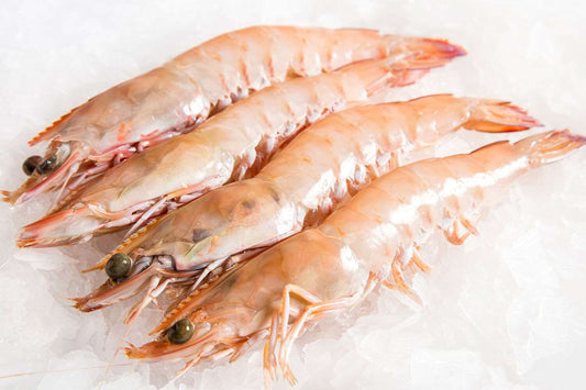 Giant-King-Prawns-Green-Sydney-Fresh-Seafood-Drummoyne-Manettas-Seafood-Market