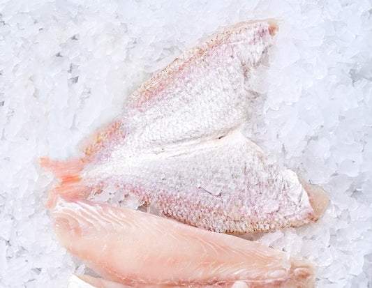 Goldband-Snapper-Fillet-Butterfield-Manettas-Seafood