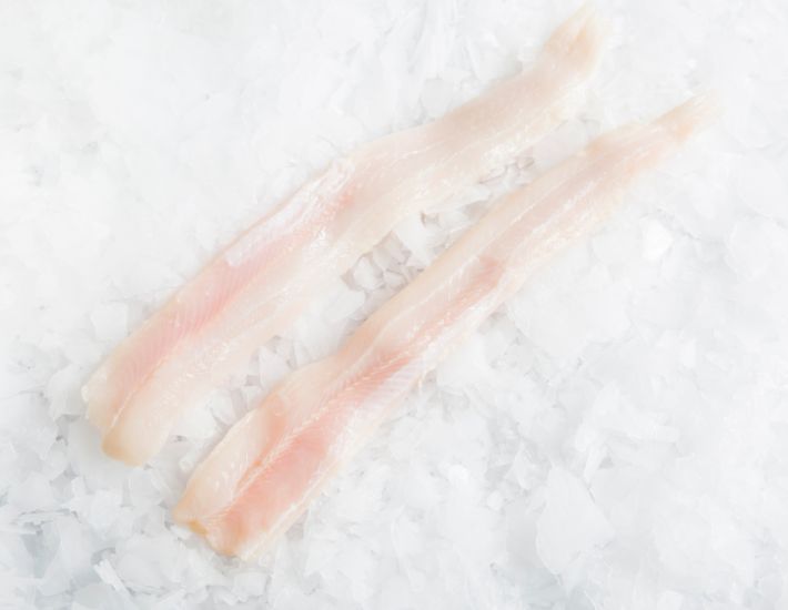 Gummy-Shark-Fillets-Manettas-Seafood