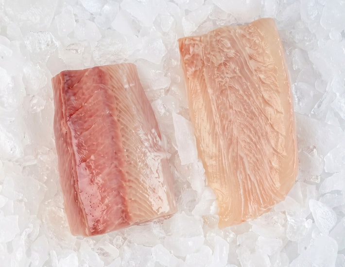 Hiramasa Kingfish Sashimi Loin (500g)