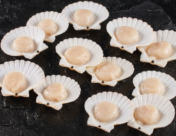 Hokkaido Premium Half Shell Scallops XL