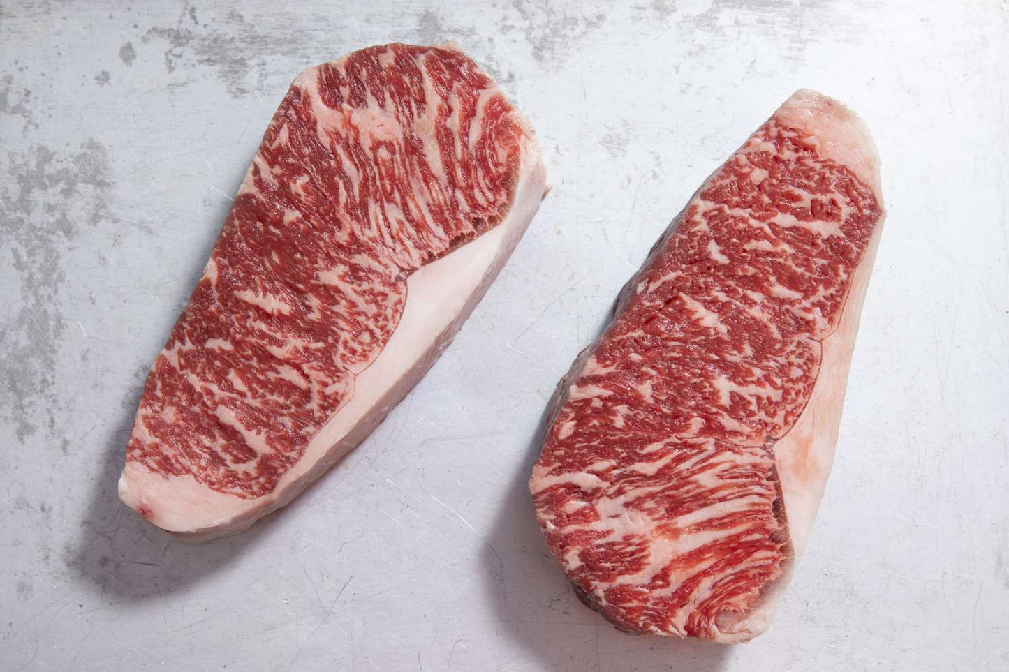 Fresh tajima beef sirloin steaks wagyu MB9+