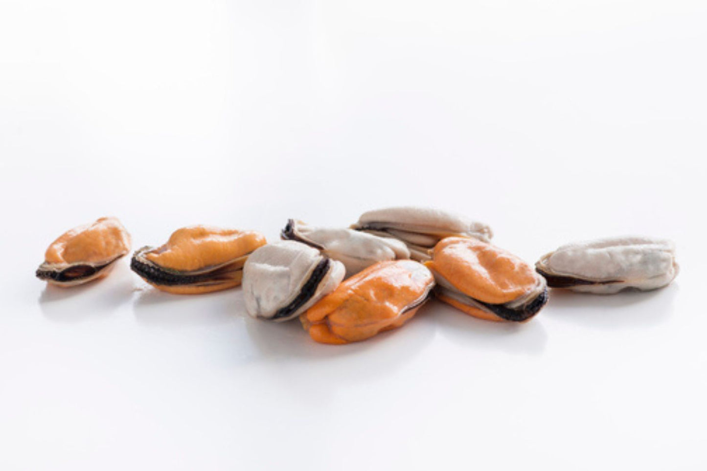 New Zealand Mussel Meat