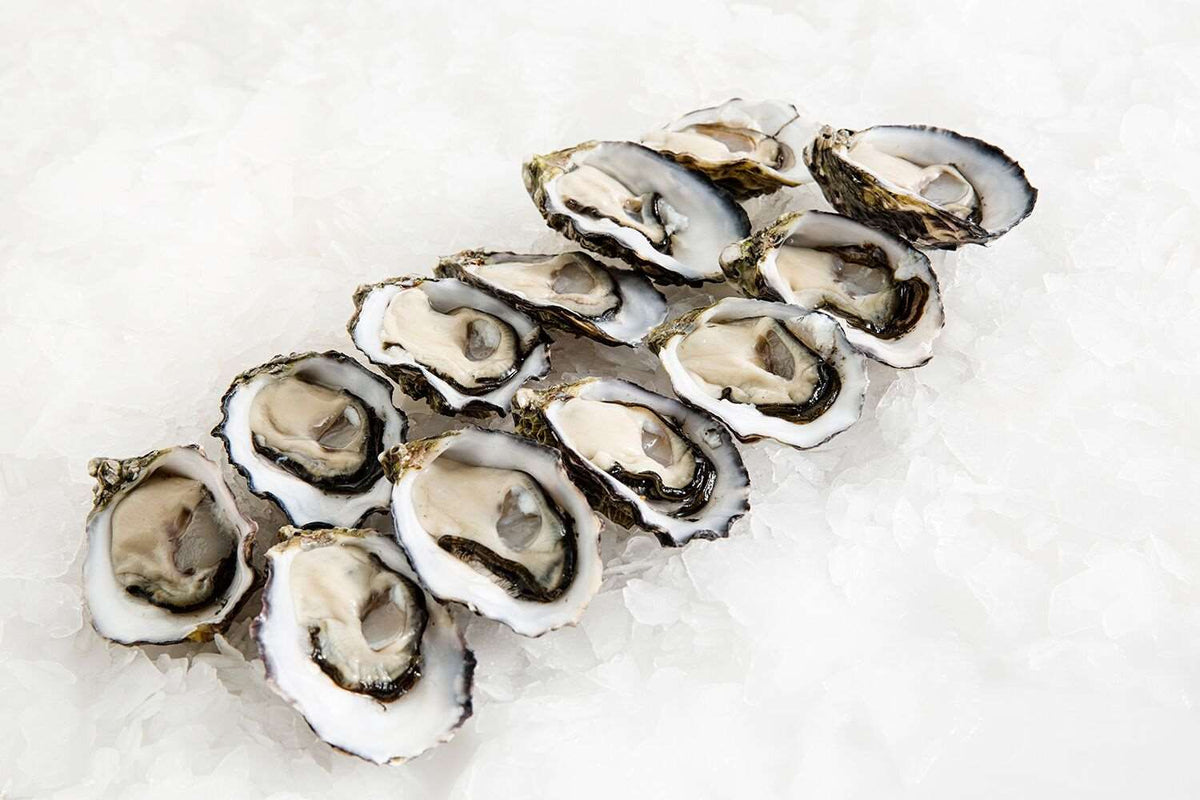 Premium Pacific Oysters Large