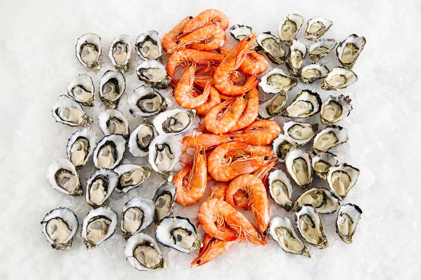 Prawn-and-Oyster-Pack-Manettas-Seafood-Market