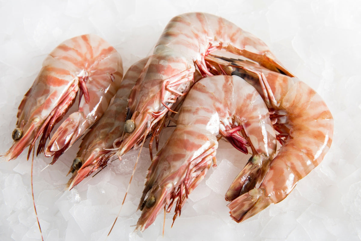Raw Skull Island Tiger Prawns JUMBO