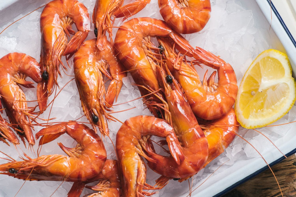 Cooked QLD Tiger Prawns XLarge